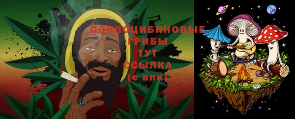 мет Абаза